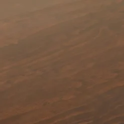 Palermo Desk Daisy Webbing Brown - Opalhouse™ Designed With Jungalow™ -Jungalow Store GUEST 61380dbd 5e4d 4038 a2d7 571e94bfa394