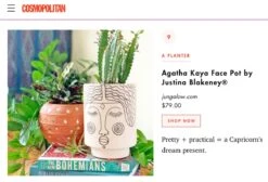 Jungalow Agatha Kaya Face Vase By Justina Blakeney™ 9 Jungalow Agatha Kaya Face Vase By Justina Blakeney™ -Jungalow Store agatha kaya face pot