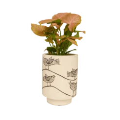 Jungalow Kaya Birdie Vase By Justina Blakeney™ 6 Jungalow Kaya Birdie Vase By Justina Blakeney™ -Jungalow Store birdieplanter