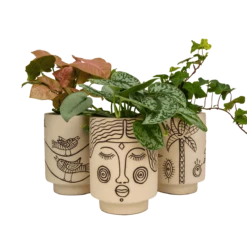 Jungalow Agatha Kaya Face Vase By Justina Blakeney™ 11 Jungalow Agatha Kaya Face Vase By Justina Blakeney™ -Jungalow Store groupplanters