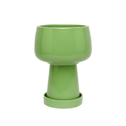 Jungalow Kaya 3-Piece Ceramic Planter By Justina Blakeney™ -Jungalow Store matchakayaplanter